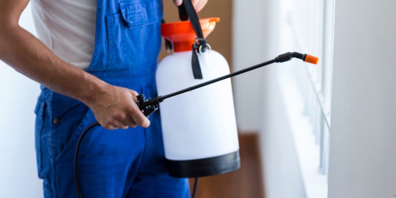 Como fazer dedetização em casa em Natal