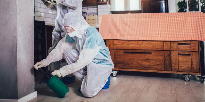 Dedetização em Apartamento Como Funciona em Natal: Confira 4 Passos